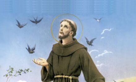 Dia de São Francisco é também dia de bênçãos para os animais. Veja aonde levar seu pet!