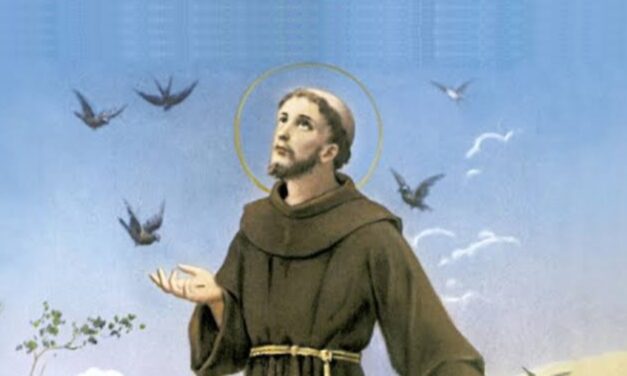 Dia de São Francisco é também dia de bênçãos para os animais. Veja aonde levar seu pet!