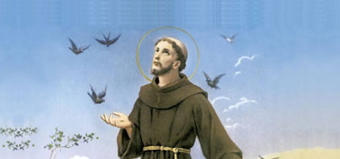 Dia de São Francisco é também dia de bênçãos para os animais. Veja aonde levar seu pet!